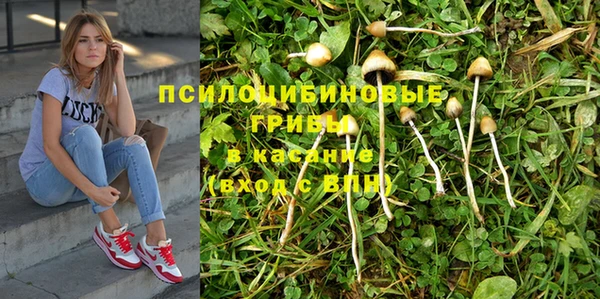 индика Навашино