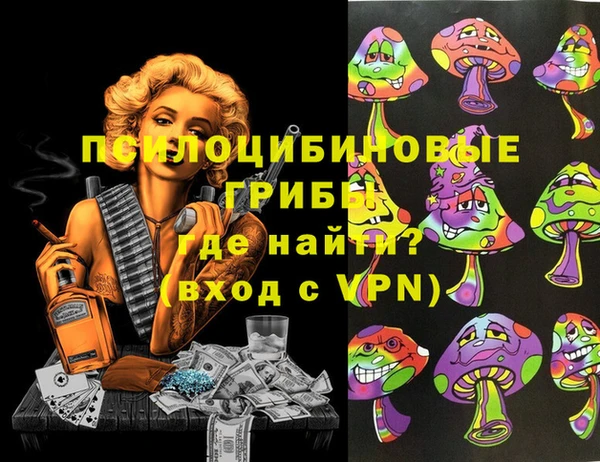 амф Надым