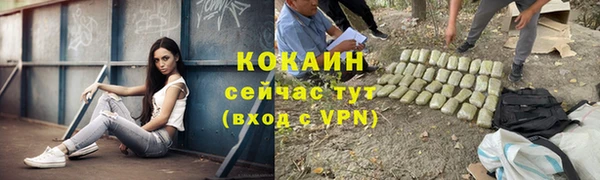 индика Навашино