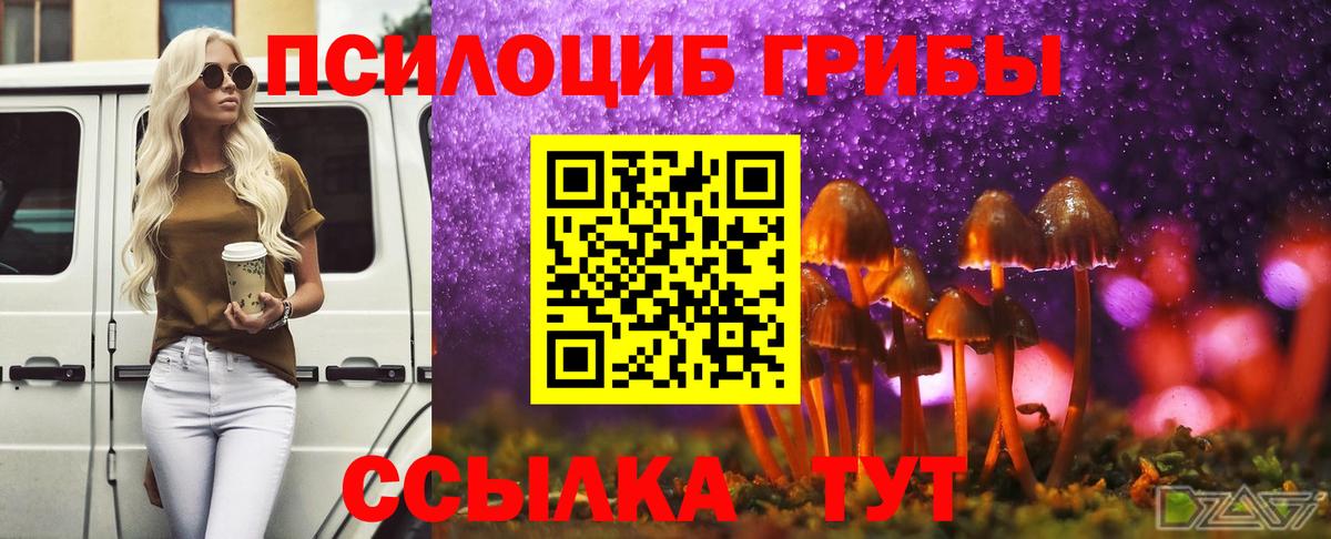 Галлюциногенные грибы Cubensis Сорочинск